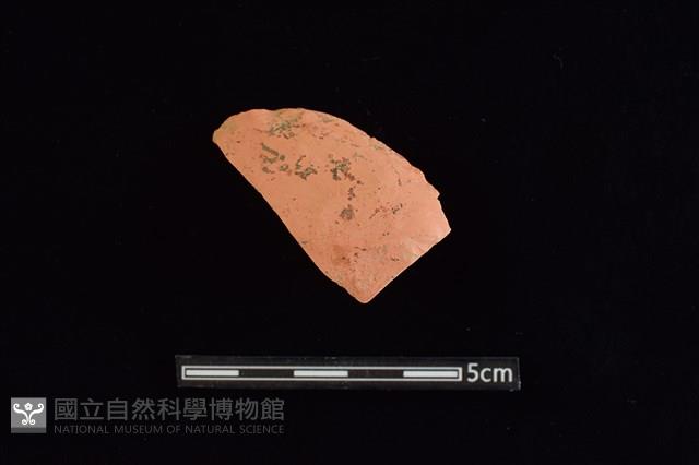 陶片藏品圖，第1張