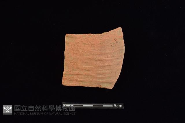 陶片藏品圖，第1張