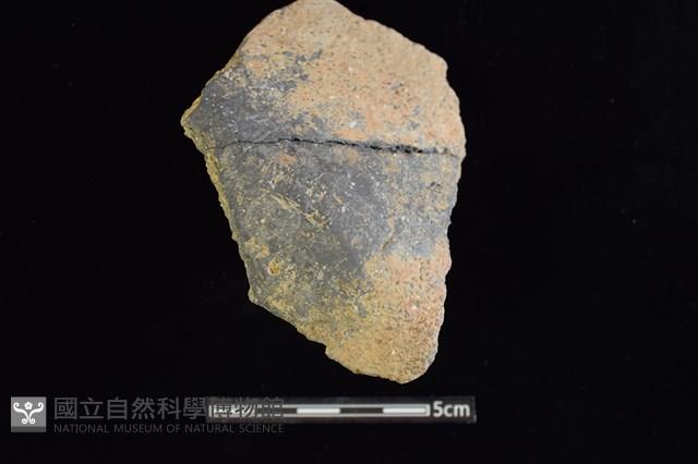 陶片藏品圖，第1張