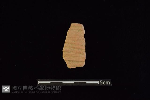 陶片藏品圖，第1張