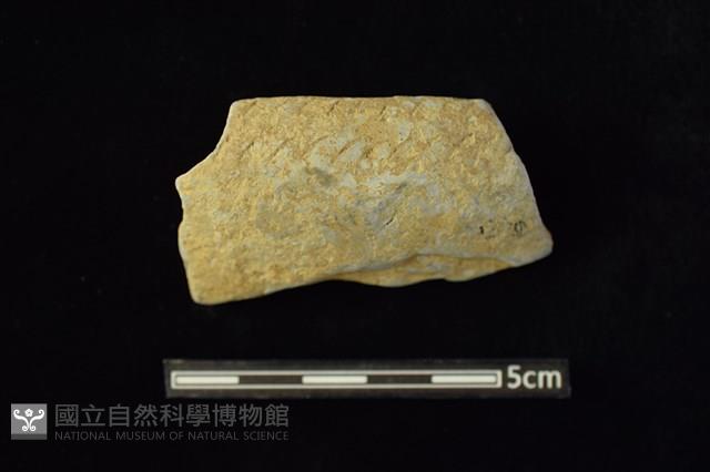 陶缽藏品圖，第1張