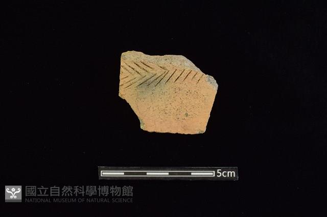 陶罐藏品圖，第1張