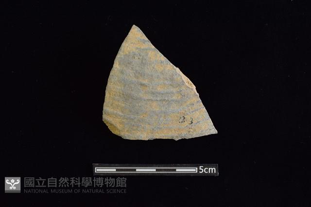 陶片藏品圖，第1張