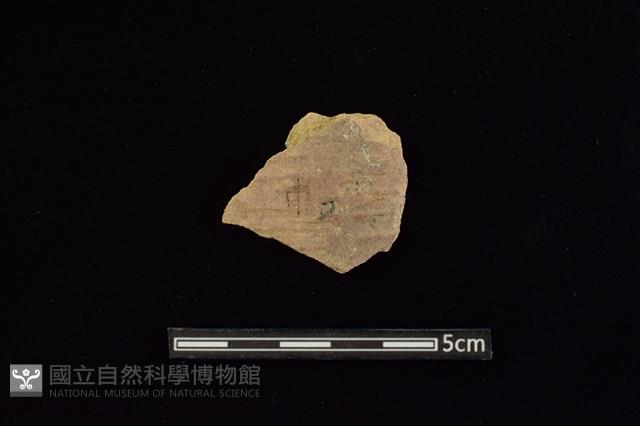 陶片藏品圖，第1張