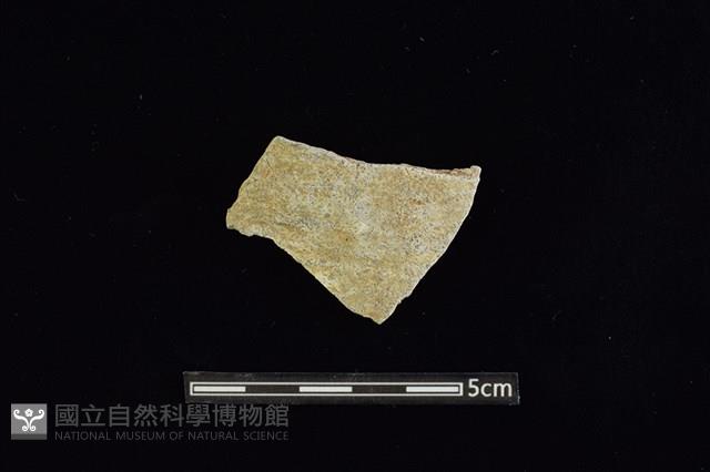 陶片藏品圖，第1張