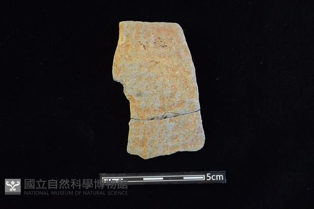 陶片藏品圖，第1張