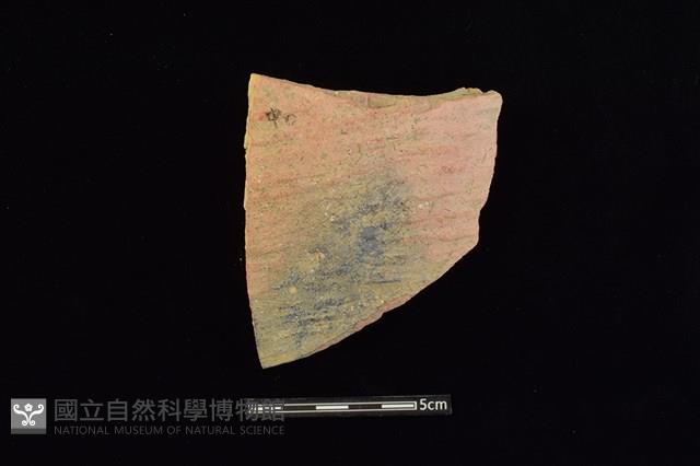 陶片藏品圖，第1張