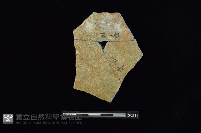 陶片藏品圖，第1張