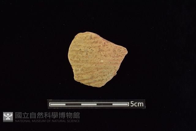 陶片藏品圖，第1張