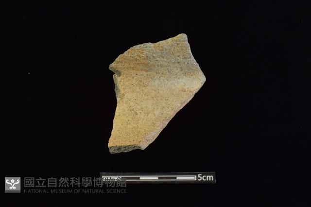 陶罐藏品圖，第1張