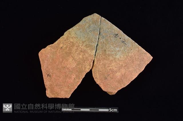 陶片藏品圖，第1張