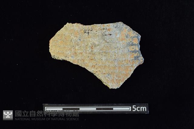 陶片藏品圖，第1張