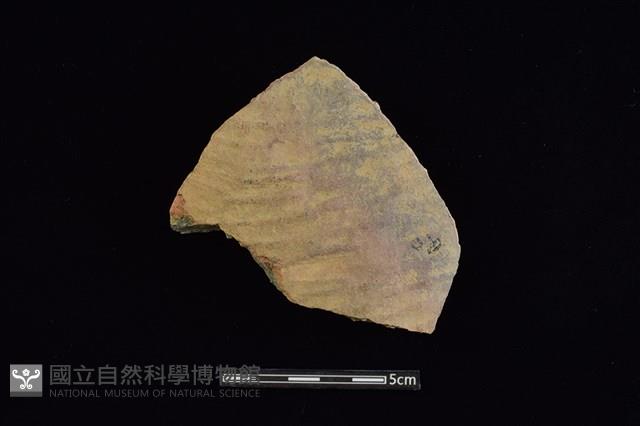 陶片藏品圖，第1張