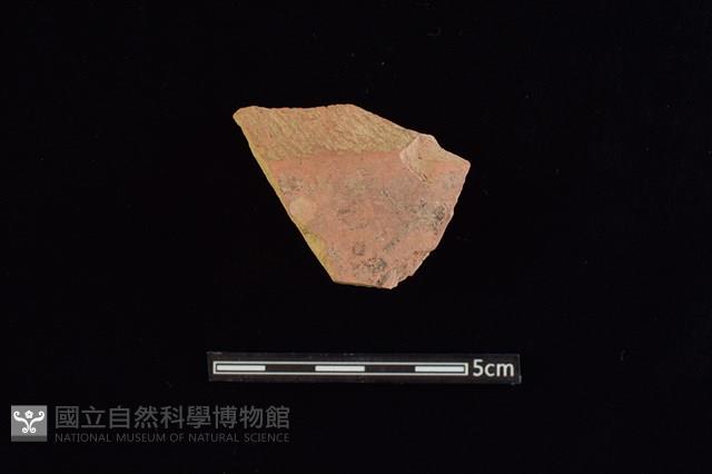 折肩藏品圖，第1張