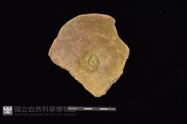 陶蓋藏品圖，第1張