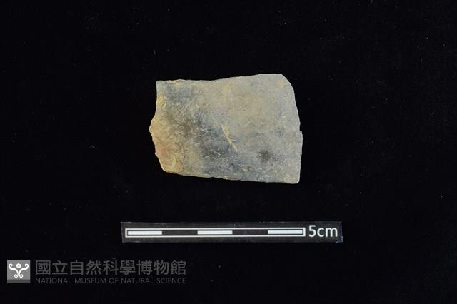 陶片藏品圖，第1張