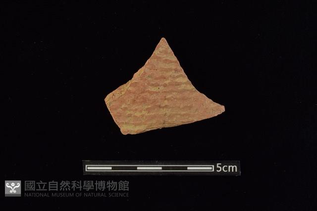 陶片藏品圖，第1張