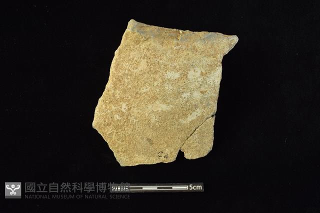 陶罐藏品圖，第1張