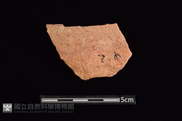 陶片藏品圖，第1張