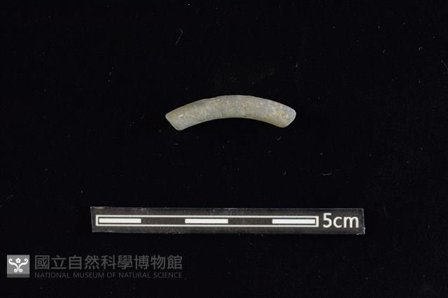 陶環藏品圖，第1張