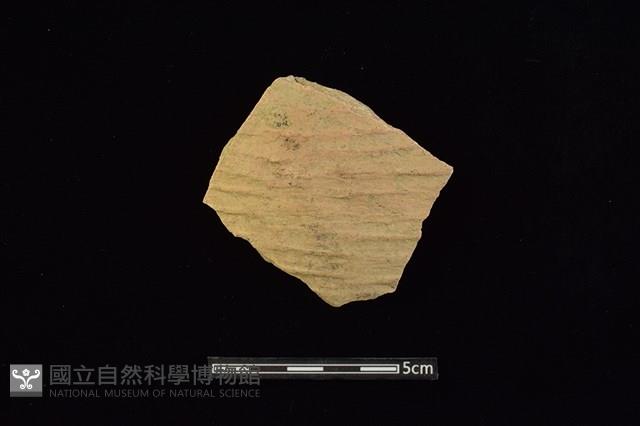 陶片藏品圖，第1張