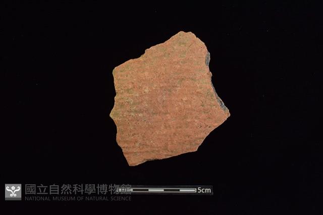 陶片藏品圖，第1張