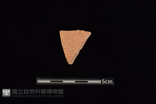 陶片藏品圖，第1張