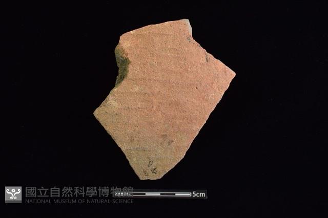 陶片藏品圖，第1張