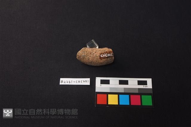 陶片藏品圖，第4張