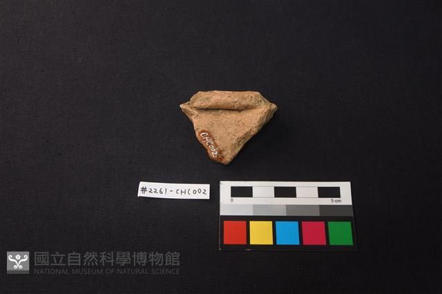 陶片藏品圖，第2張