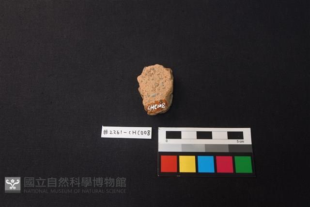 陶片藏品圖，第2張