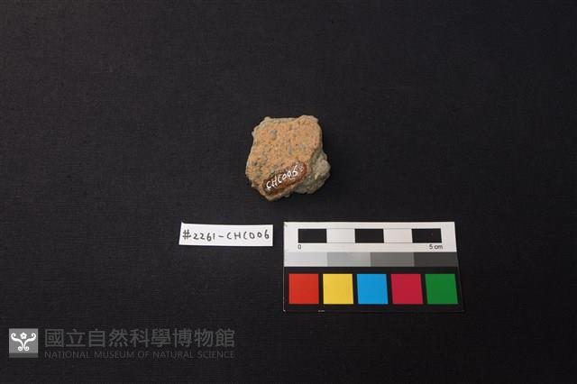 陶片藏品圖，第2張