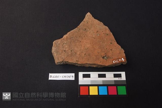 陶片藏品圖，第2張