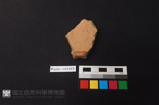 陶片藏品圖，第2張