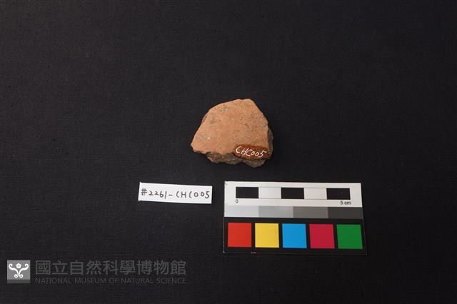 陶片藏品圖，第2張