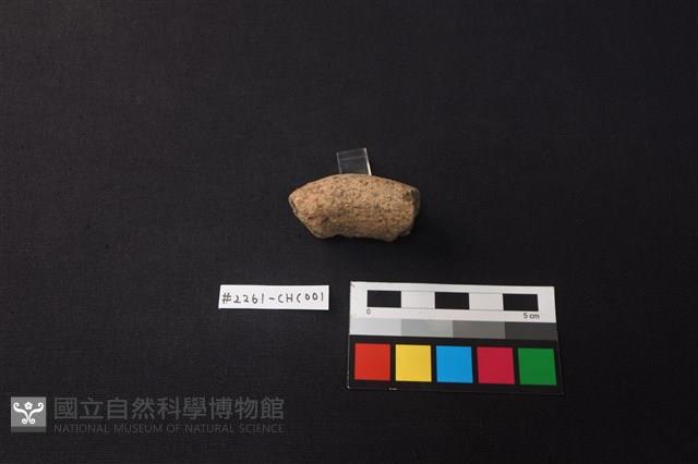 陶片藏品圖，第2張