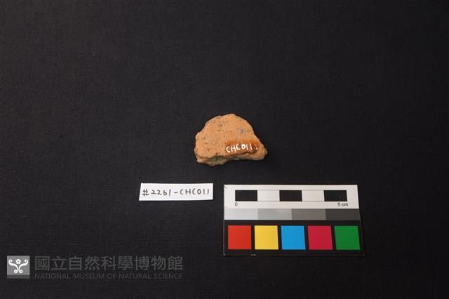 陶片藏品圖，第2張