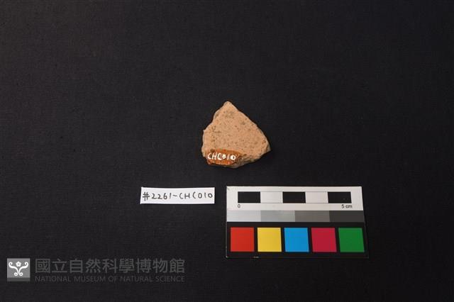 陶片藏品圖，第2張