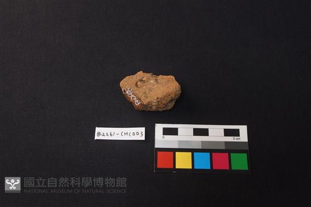 陶片藏品圖，第2張