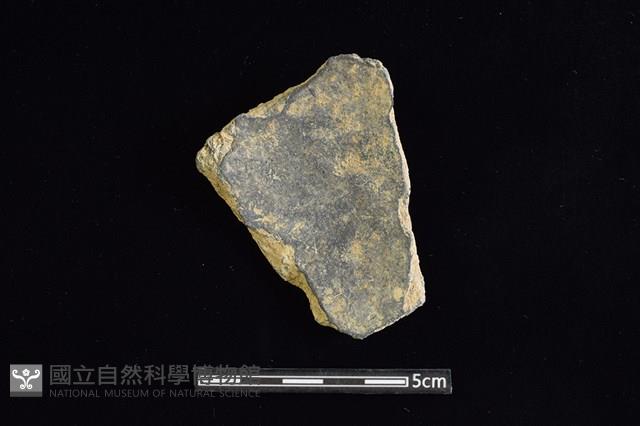 陶片藏品圖，第2張