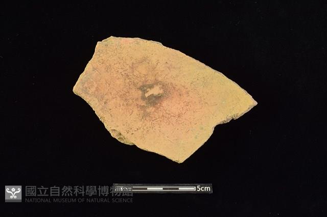 陶片藏品圖，第2張