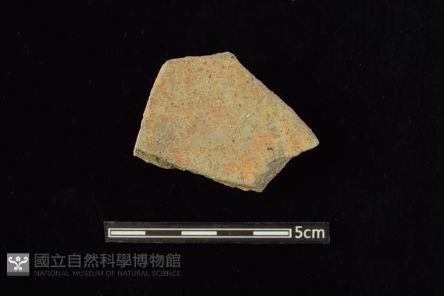 陶片藏品圖，第2張