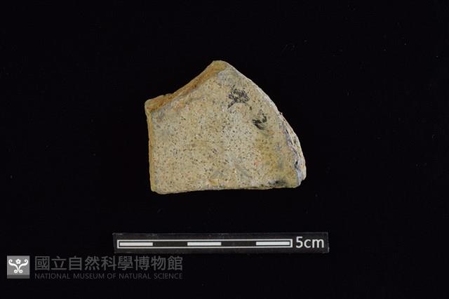 陶片藏品圖，第2張