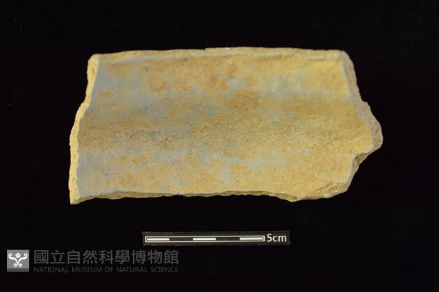 陶缽 藏品圖，第2張