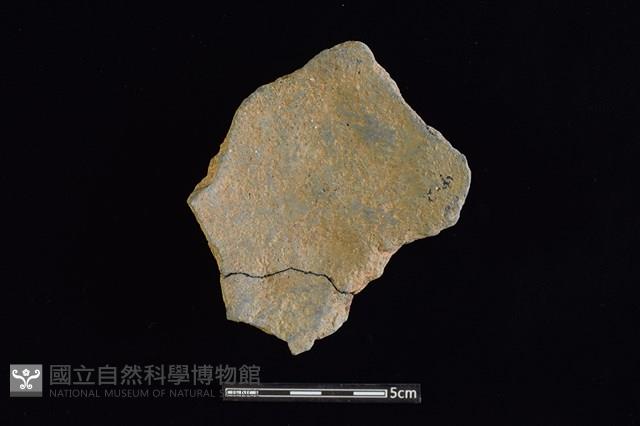 陶片藏品圖，第2張