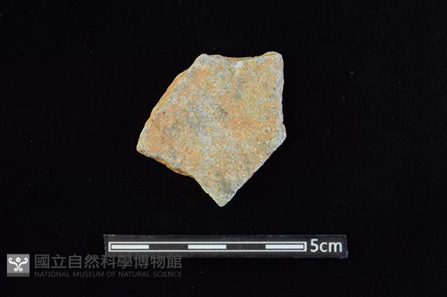 陶片藏品圖，第2張