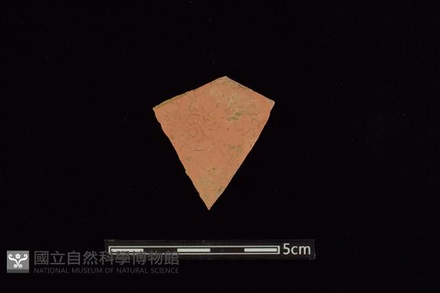 陶片藏品圖，第2張