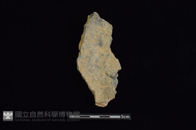 陶片藏品圖，第2張