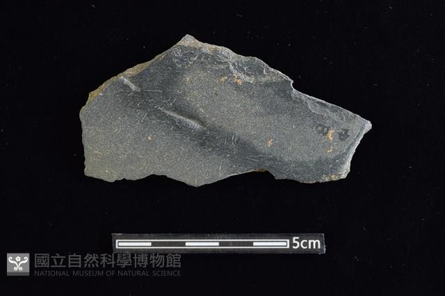 磨製石器藏品圖，第2張