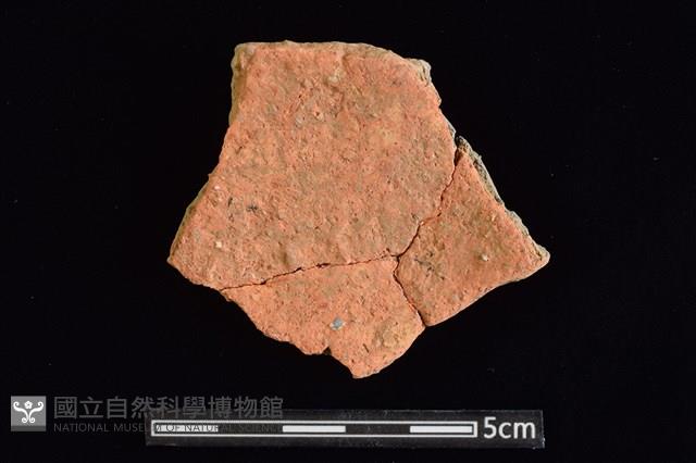 陶片藏品圖，第2張